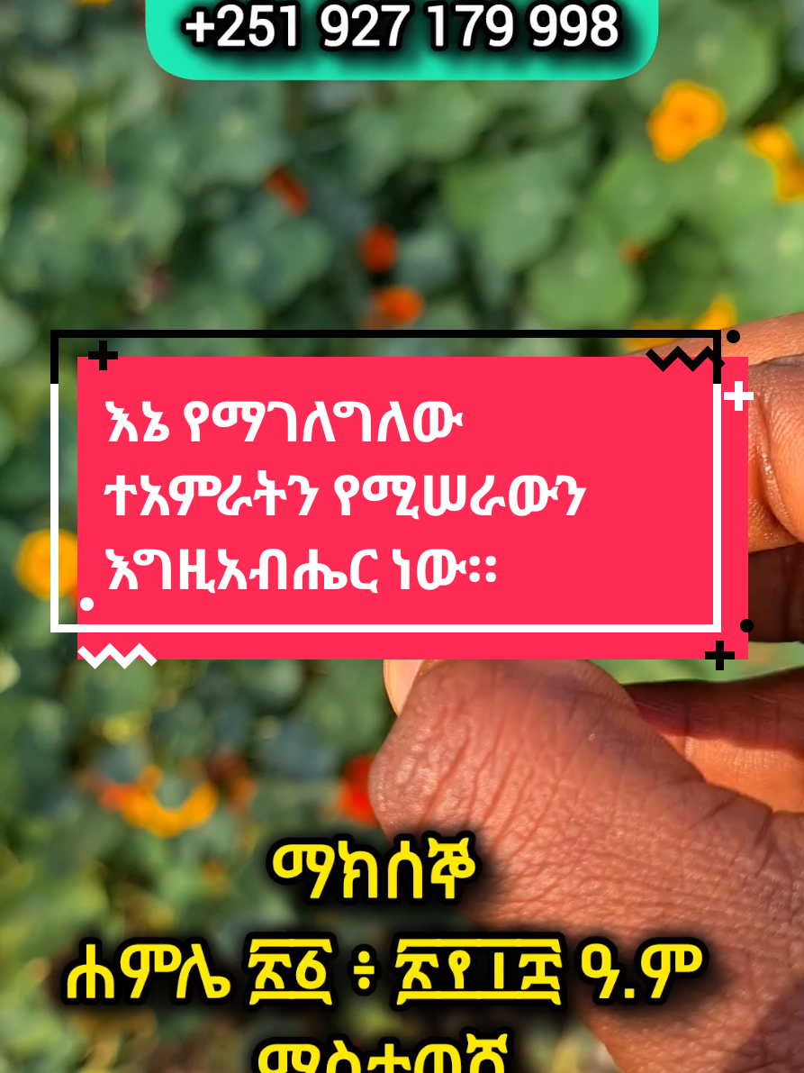 @Thomas (Tamrat)