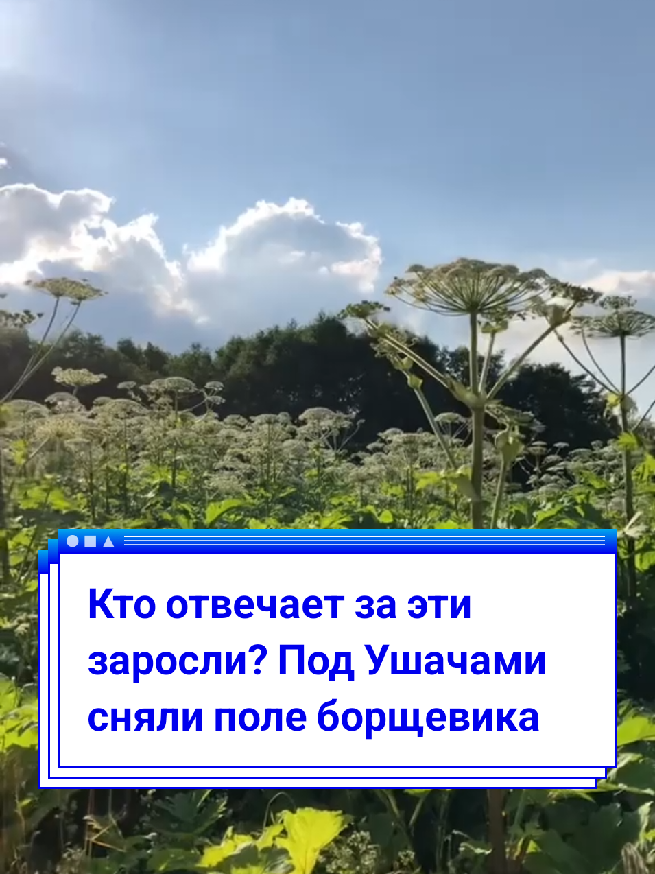 @BELARUS_360