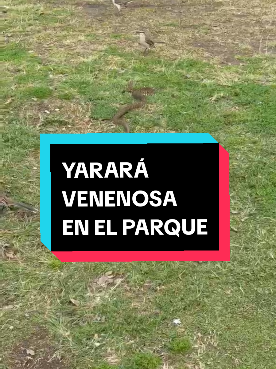 @Rosariolaciudad