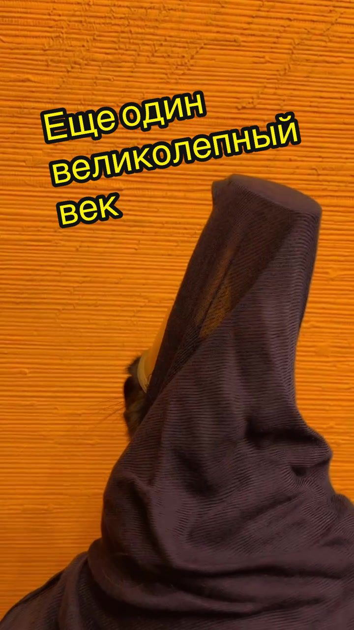 @Кот Мориска