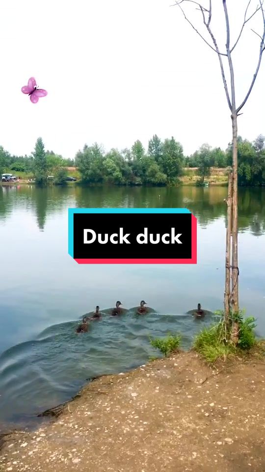 @Rybaření na Kopě