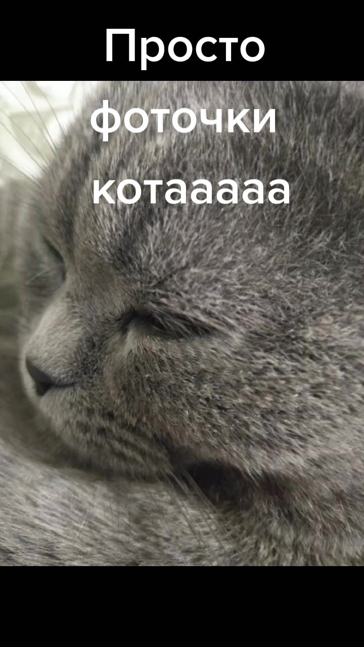 @user13819744735