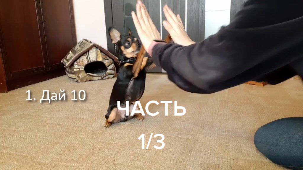 @Наташа Порядина