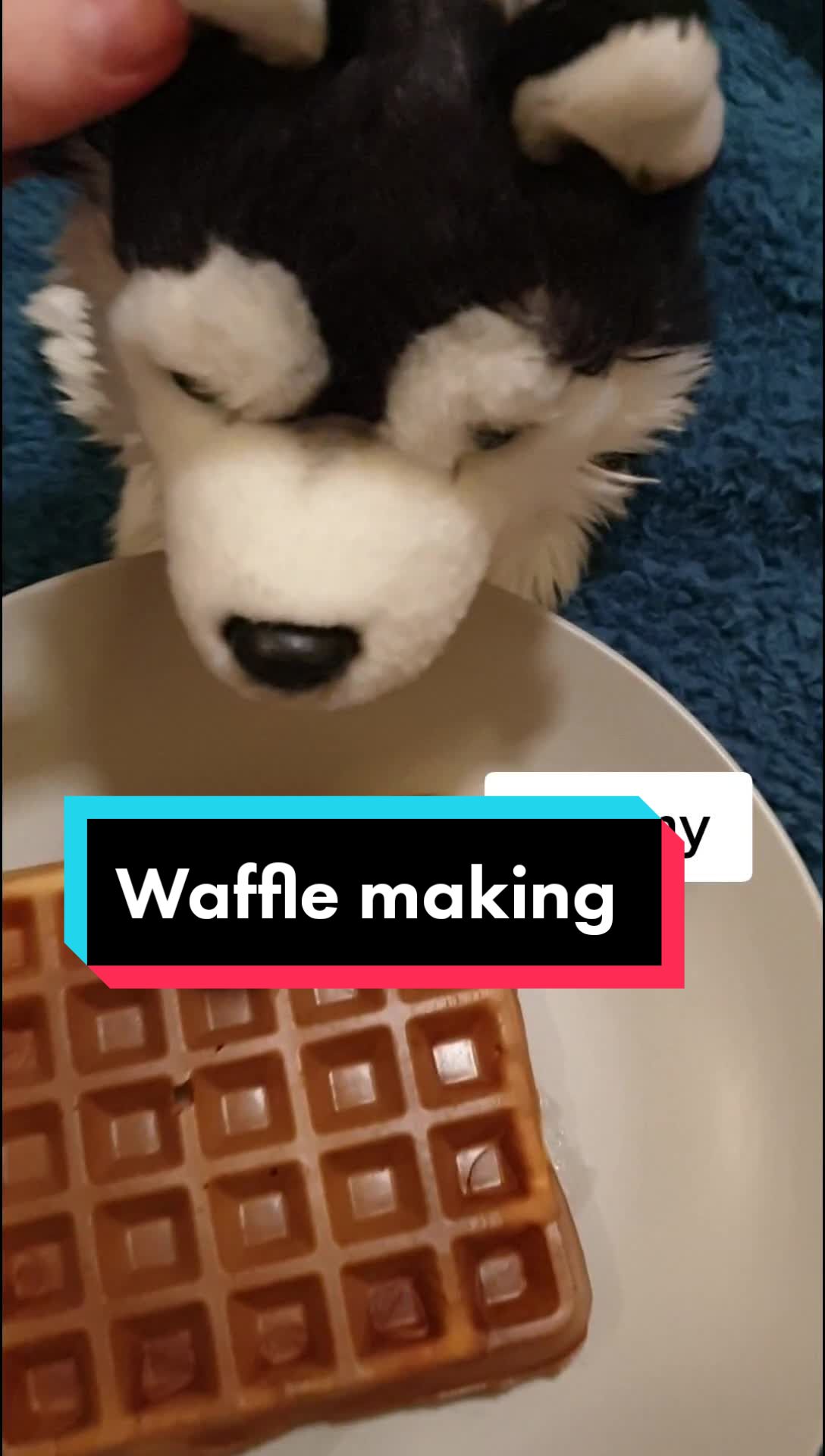 @Wolfy Ted