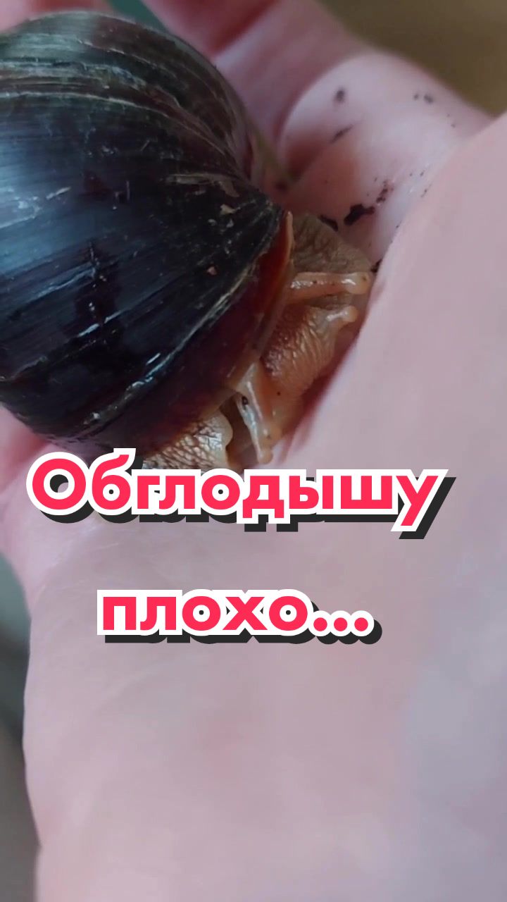 @🐌Яся Ясень🐌