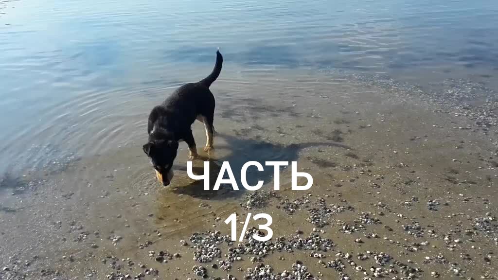 @Наташа Порядина