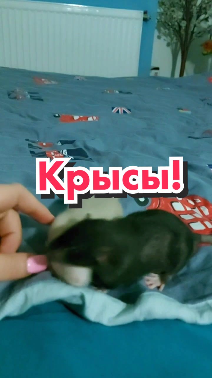 @🐌Яся Ясень🐌
