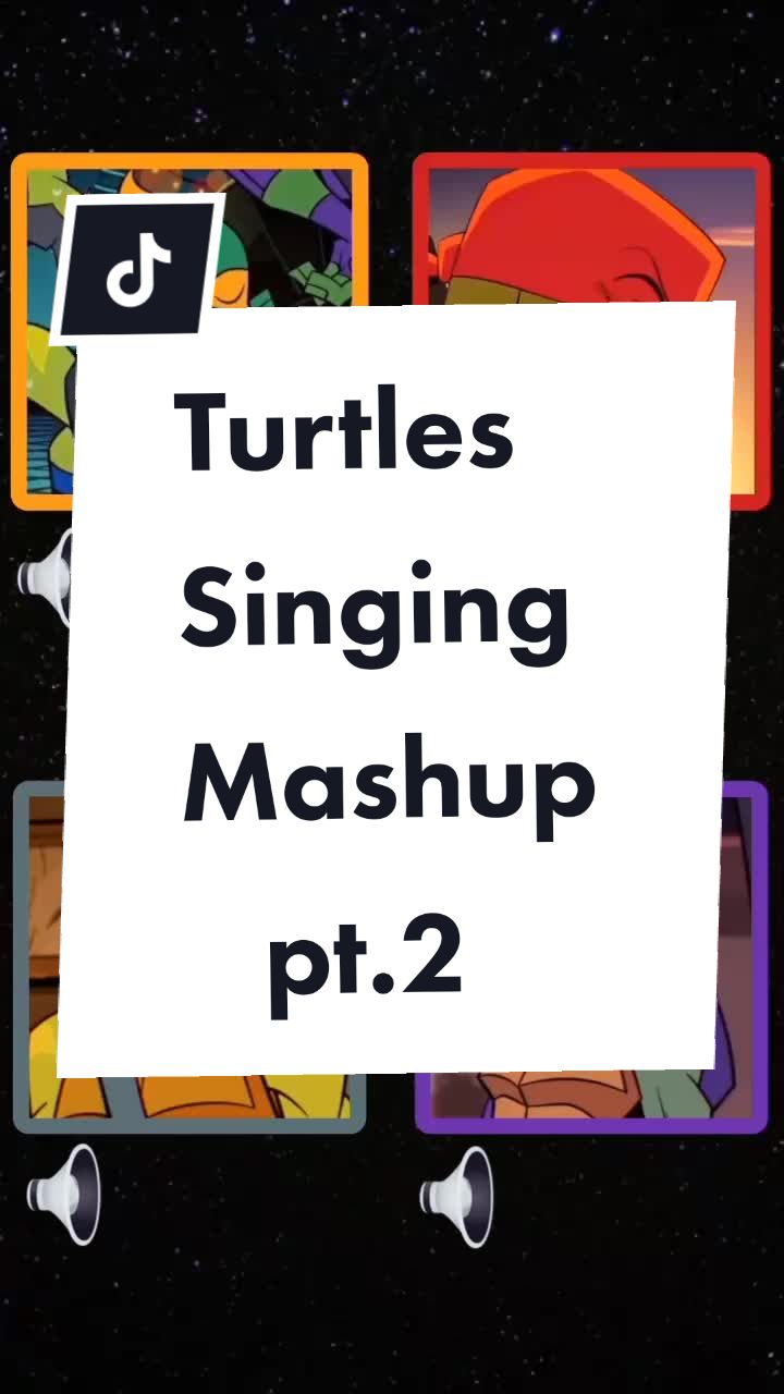 @LittleAussieTurtle