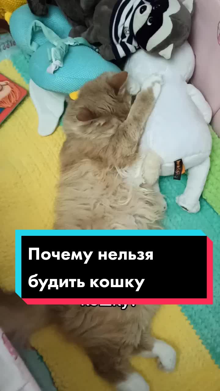 @leva.opakot