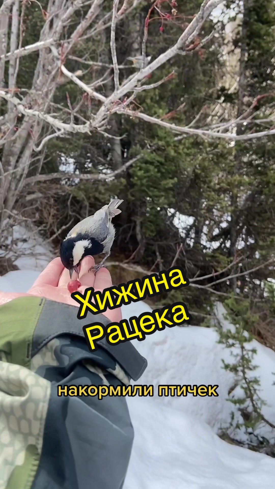@Aktulya