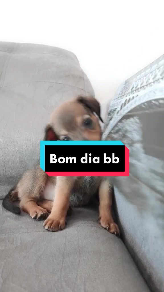 @Luke