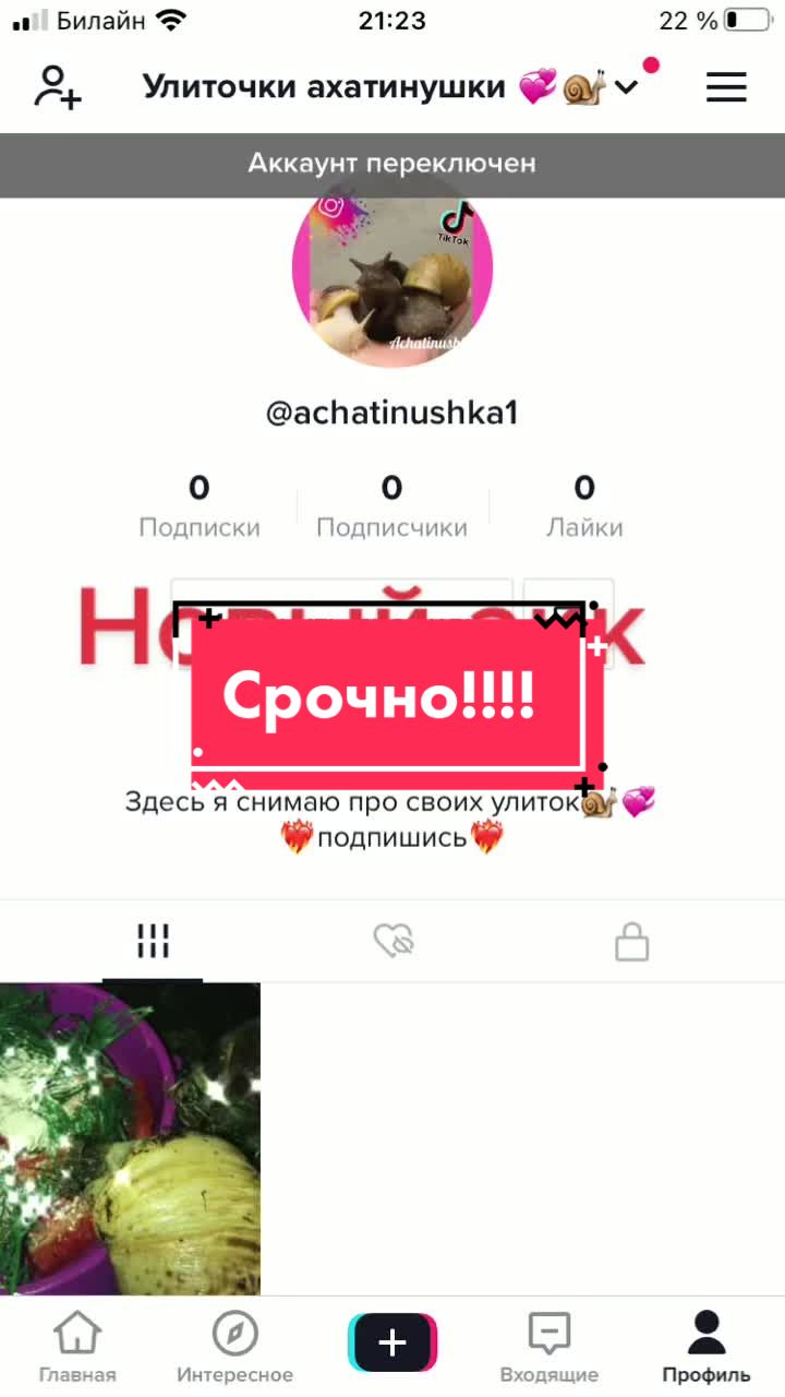 @Улиточки ахатины 🐌💕