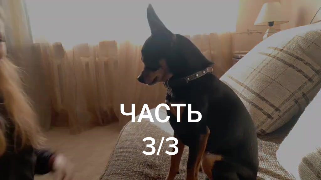 @Наташа Порядина
