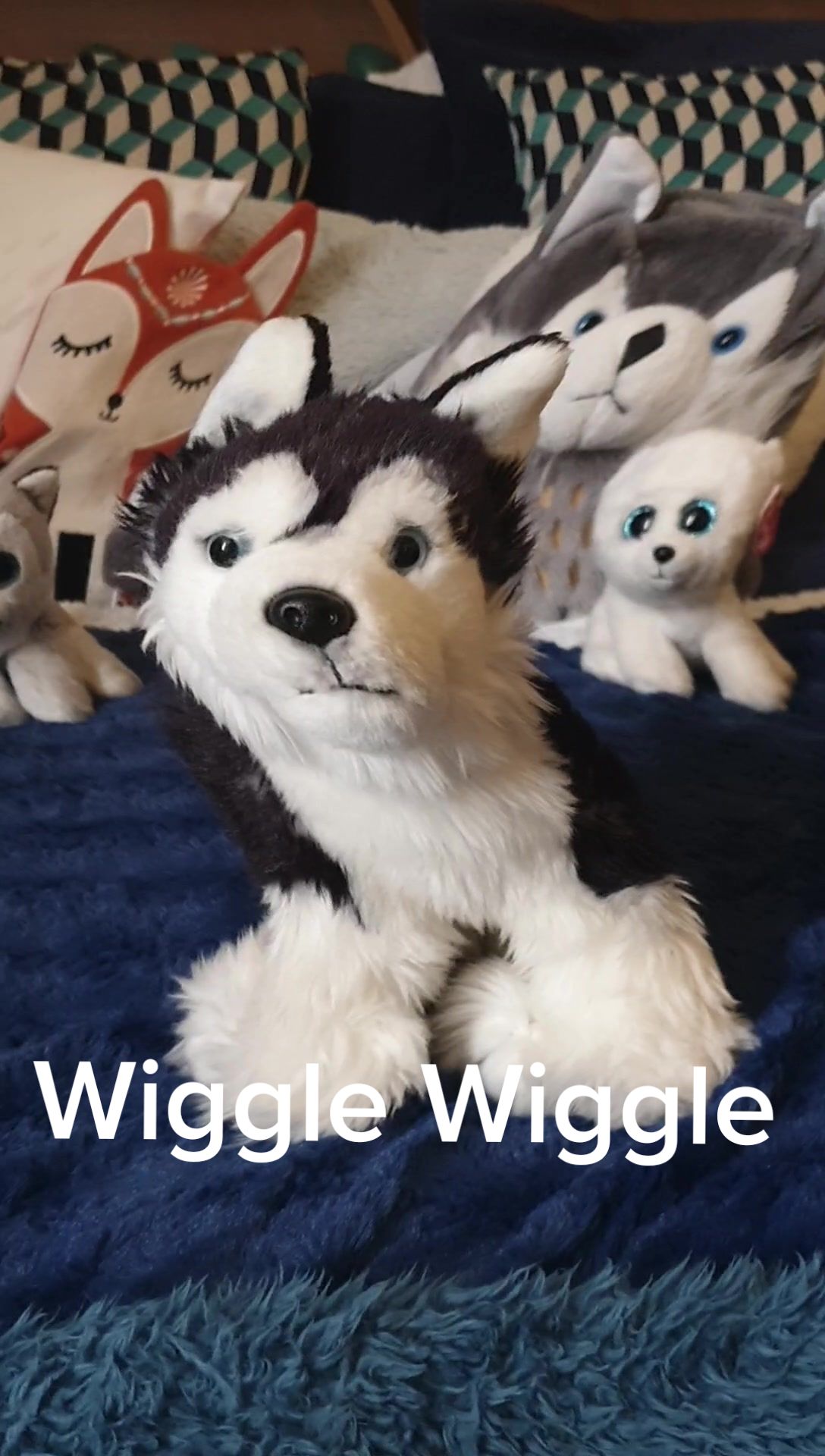 @Wolfy Ted