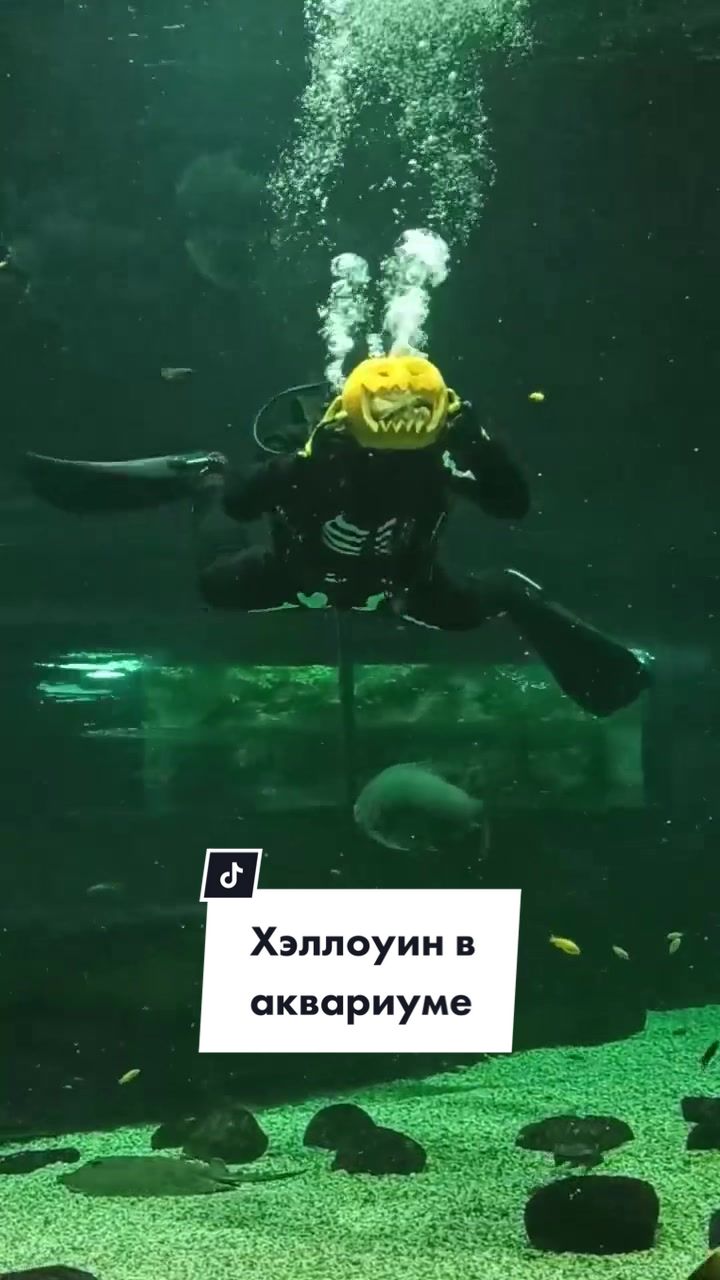 @МОСКВАРИУМ