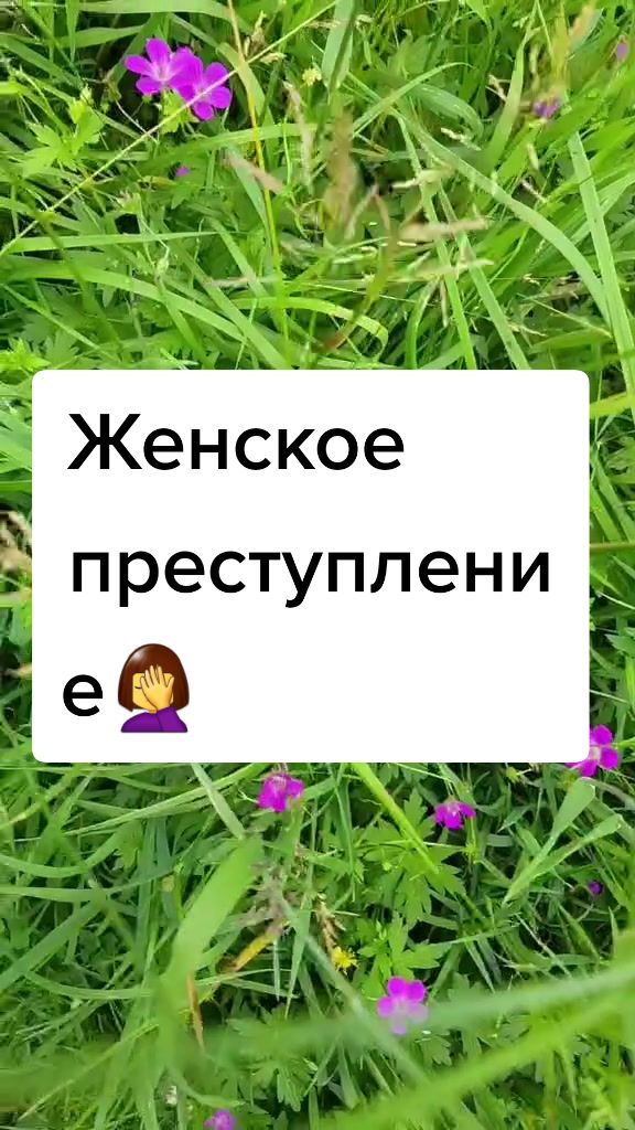 @Екатерина