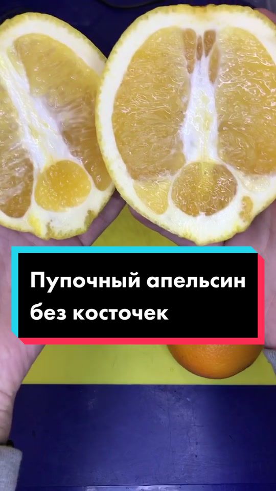 @Разрушительница мифов😎