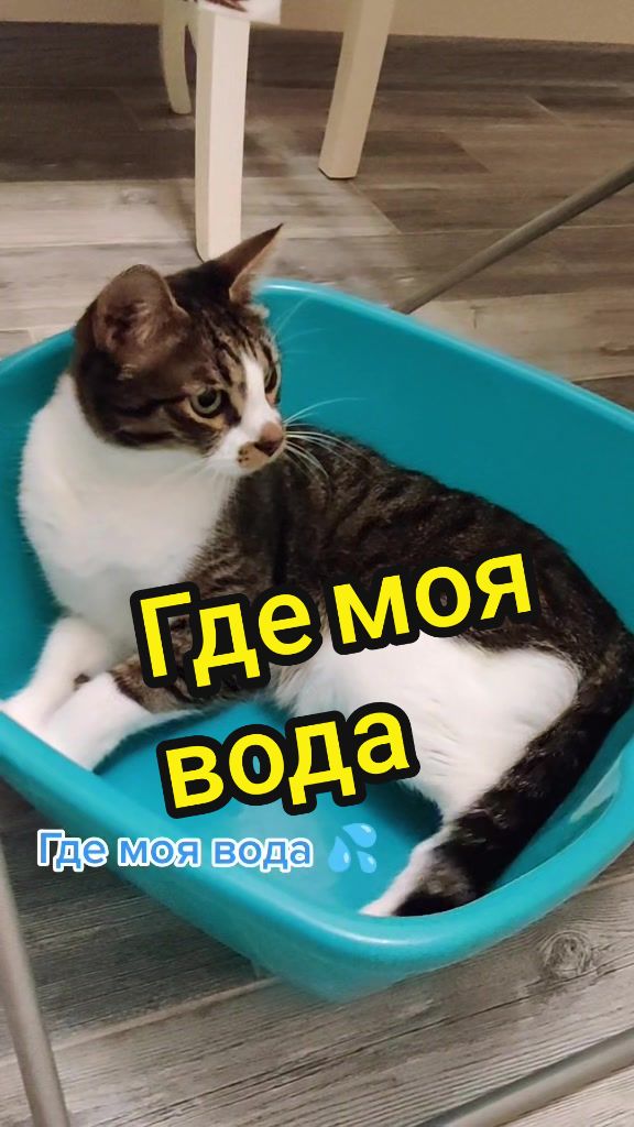 @Miki Мики