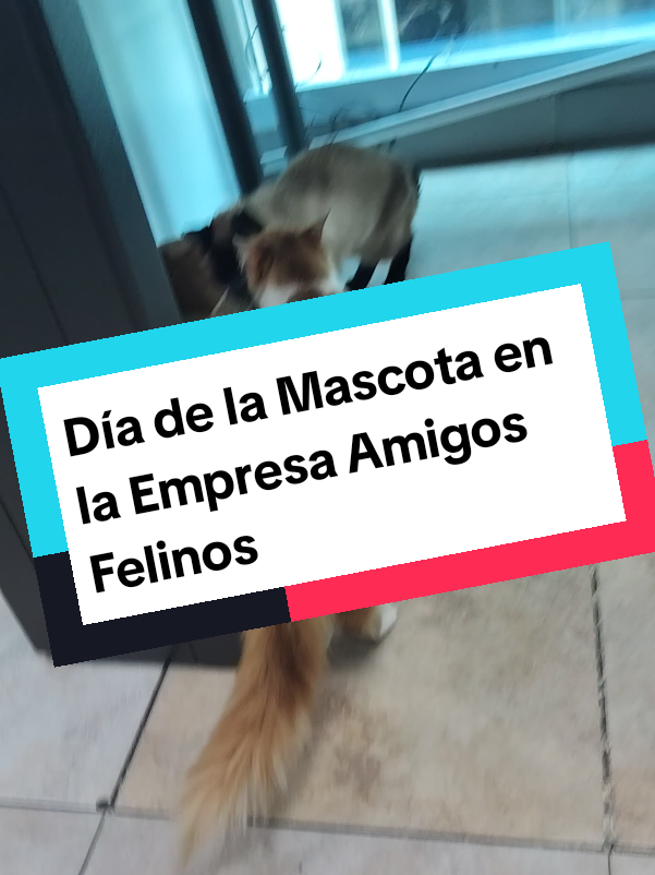 @CountryFredeColombia