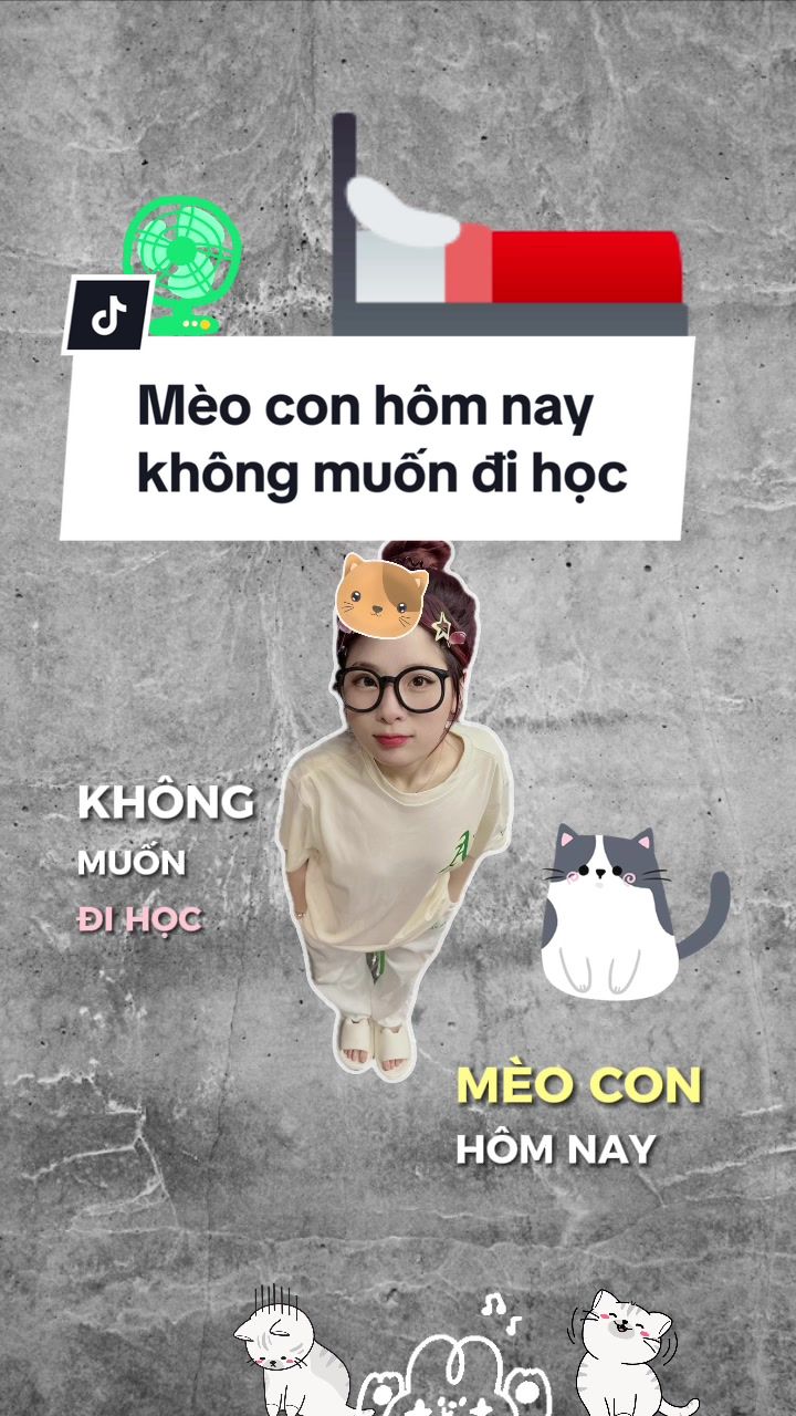 @B&Oacute;C🪳