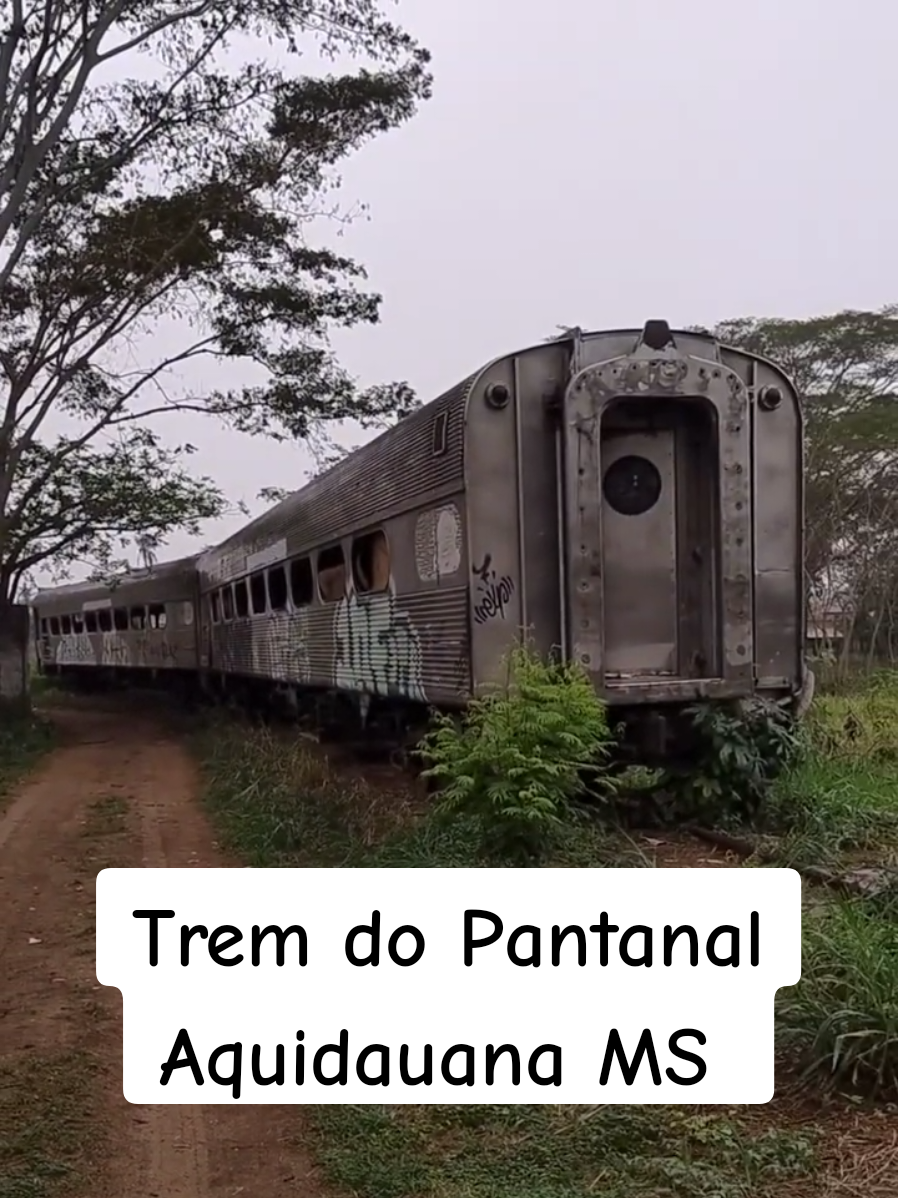 @Mala na estrada 🇧🇷