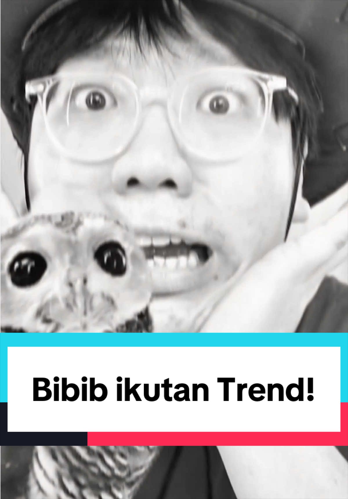 @Bibib Family