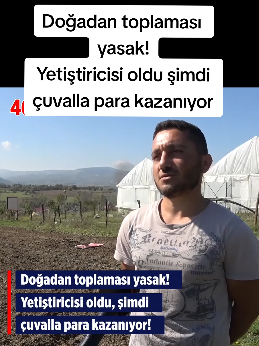 @Sorgunadair