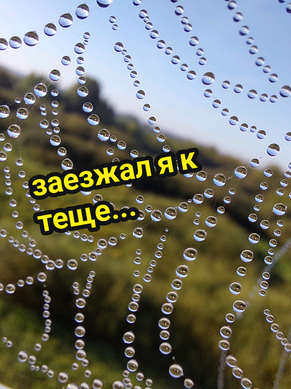 @Рыся✔️🇧🇾