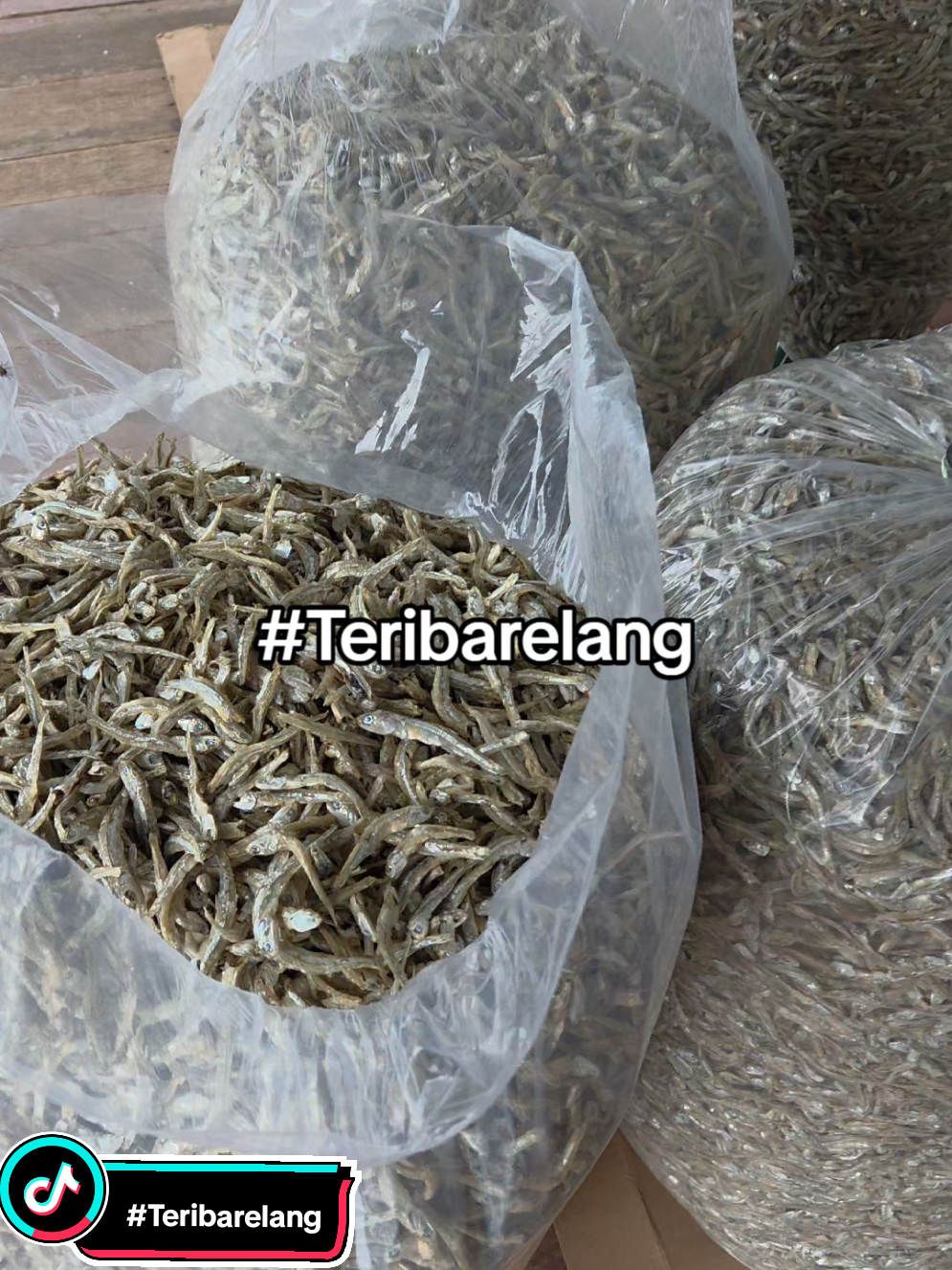 @Teri Barelang