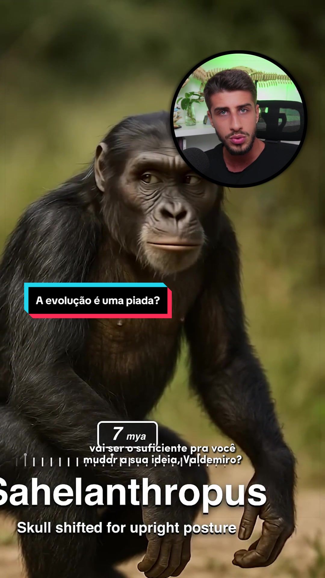 @Yago Stephano