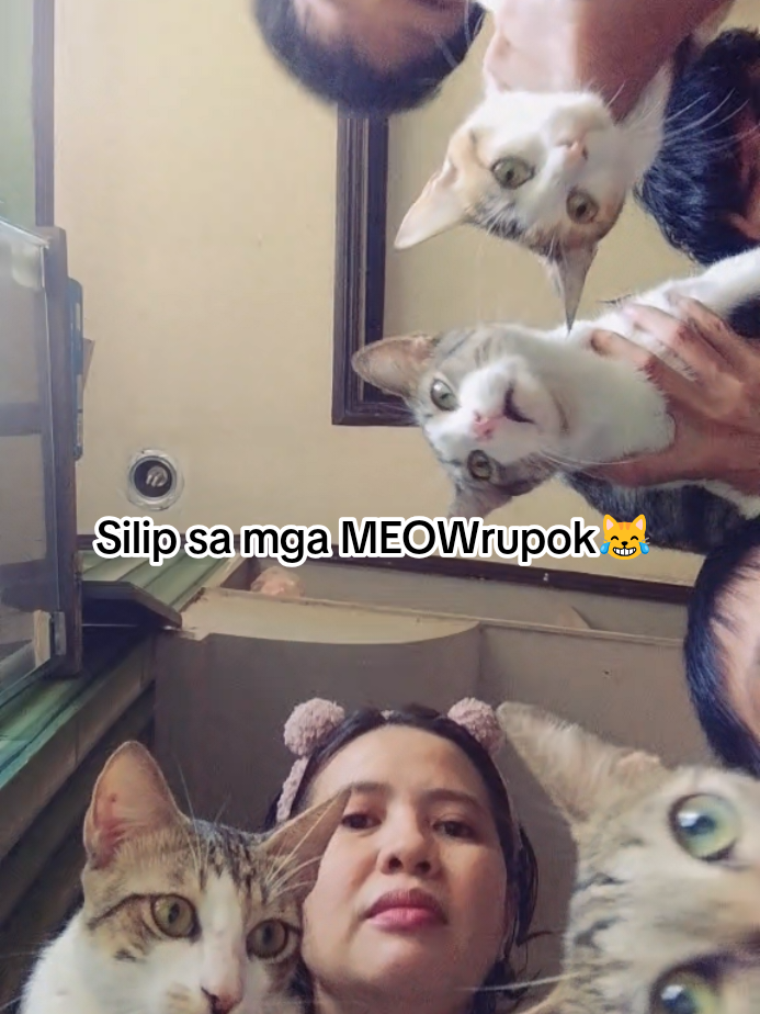@mommyvange