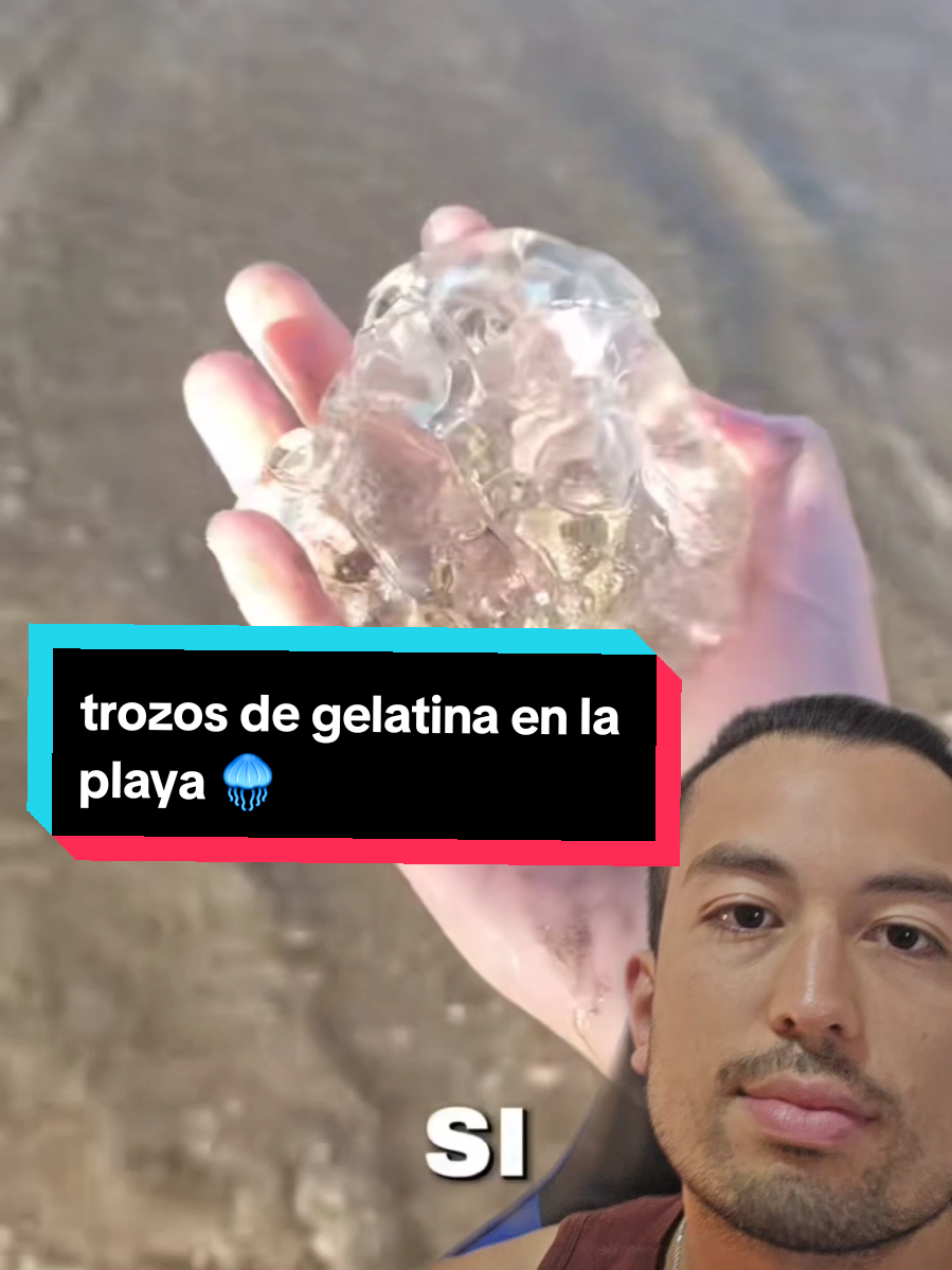 @Nico.olasp 🌊