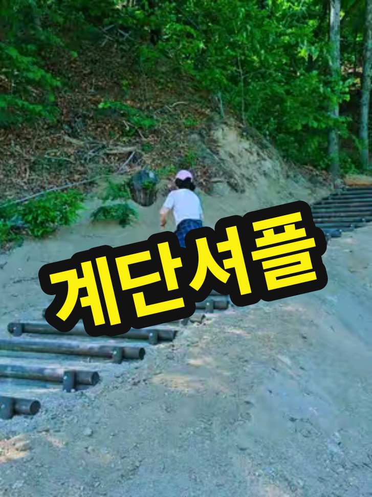 @틱톡왕비