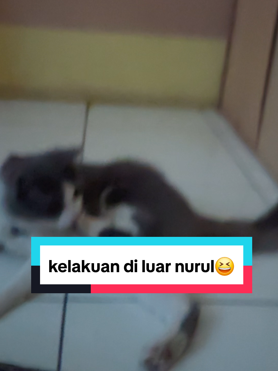 @Erni_marpaung