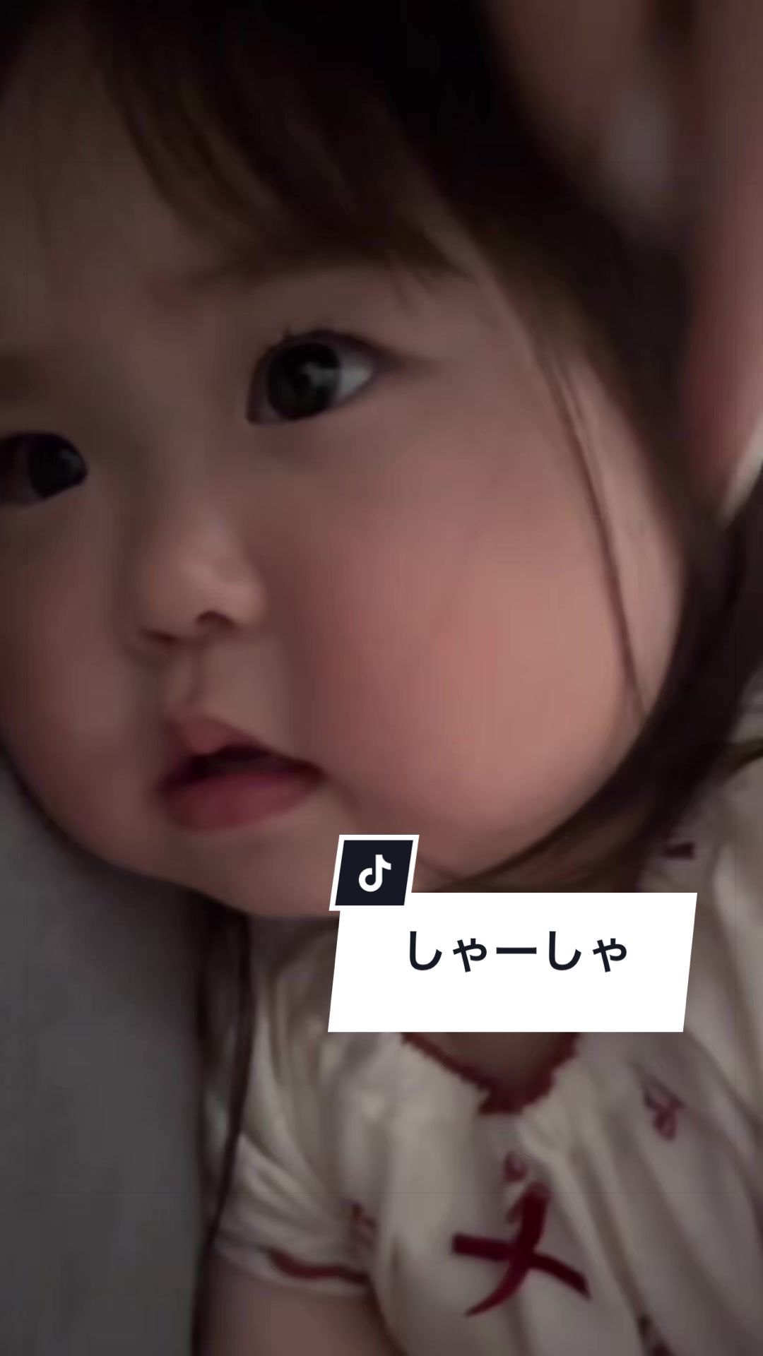 @さらパパ