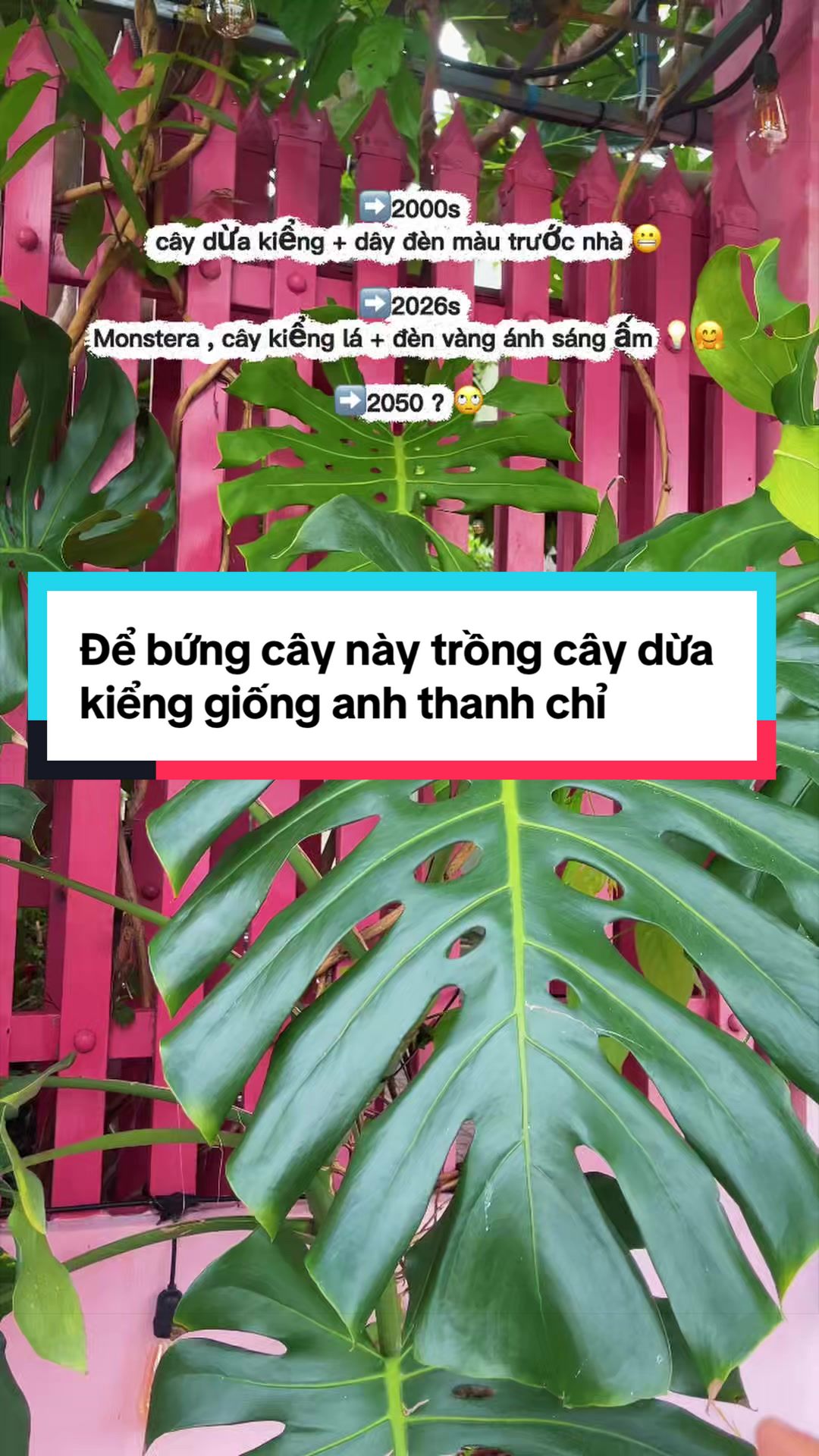@AndyTrần có cái SPA 🏝️ 🤓 ☘️