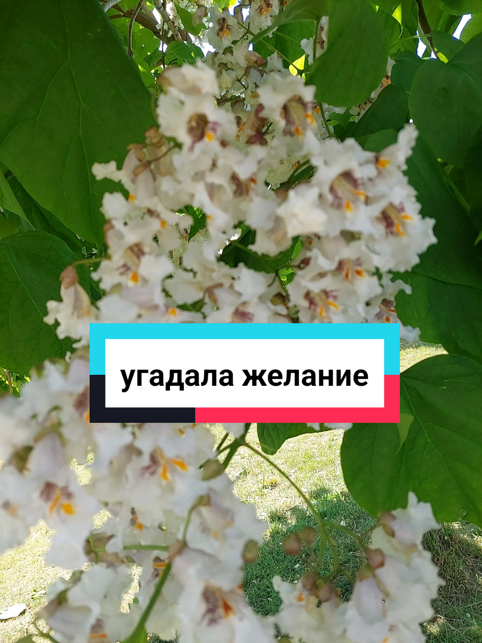 @Рыся✔️🇧🇾