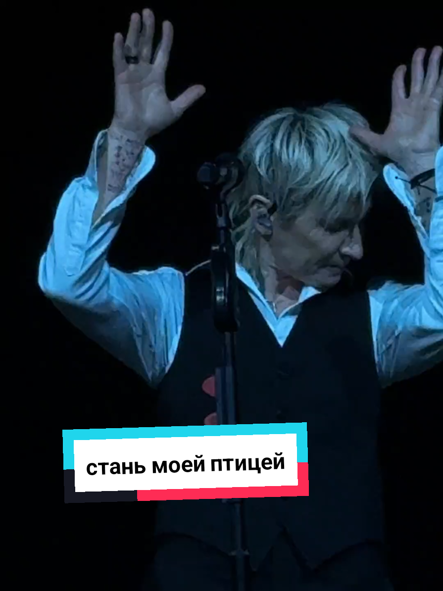 @Диана Арбенина (фан группа)