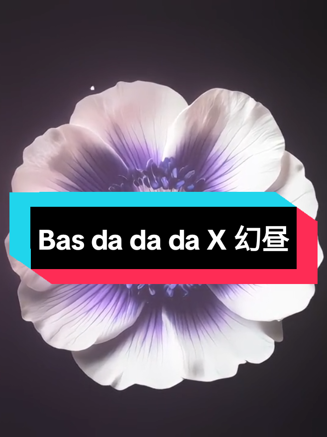 @๐๐๐ ๐
๐ข๐ง๐ง๐ฅ๐ฒ๐ซ๐ข๐๐ฌ