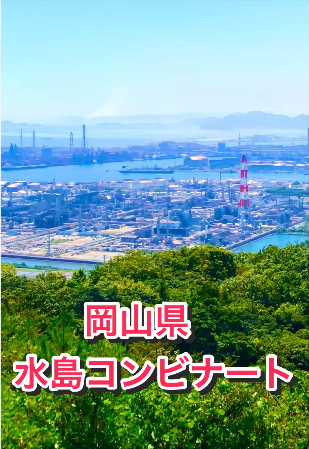 @音丸ぽん🇯🇵