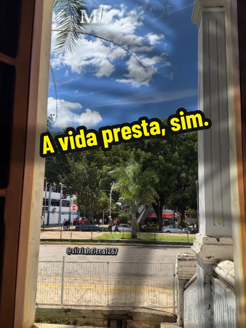 @Silvia Helena.