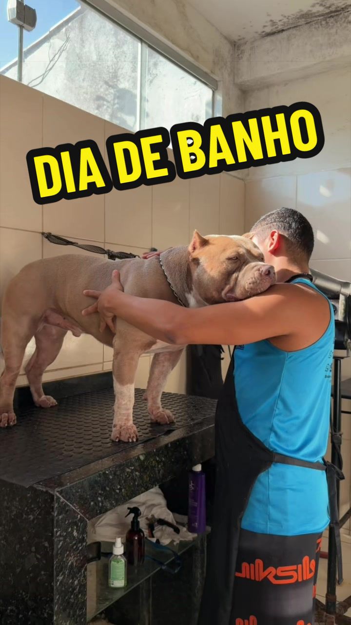 @Fam&iacute;lia Ragnar 🐶