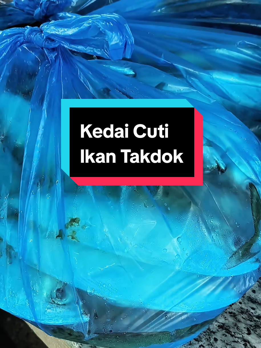 @Ikan Bakar Opah (IBO)