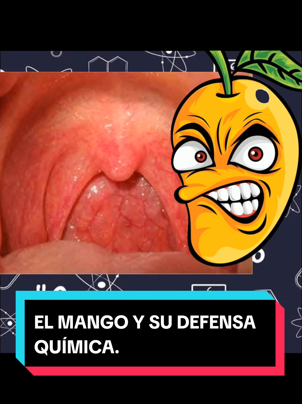 @SixxQuímica