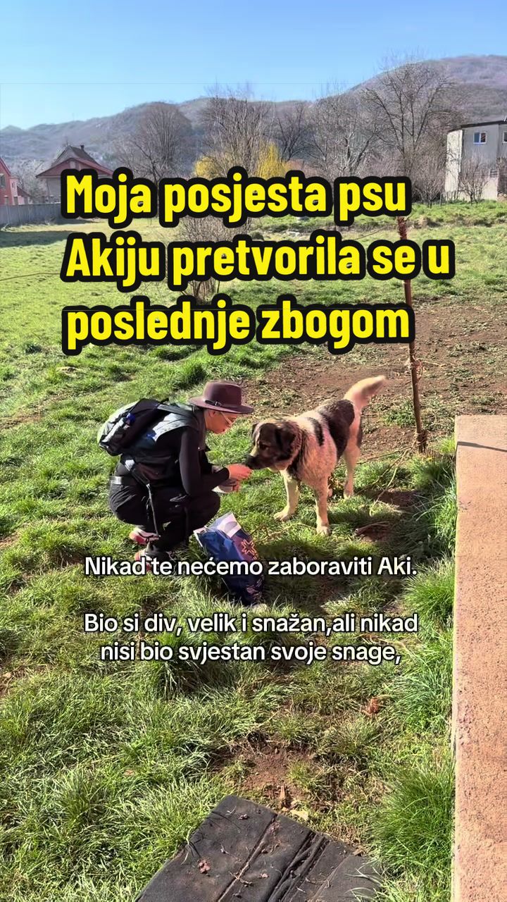 @Maja Kovijanic