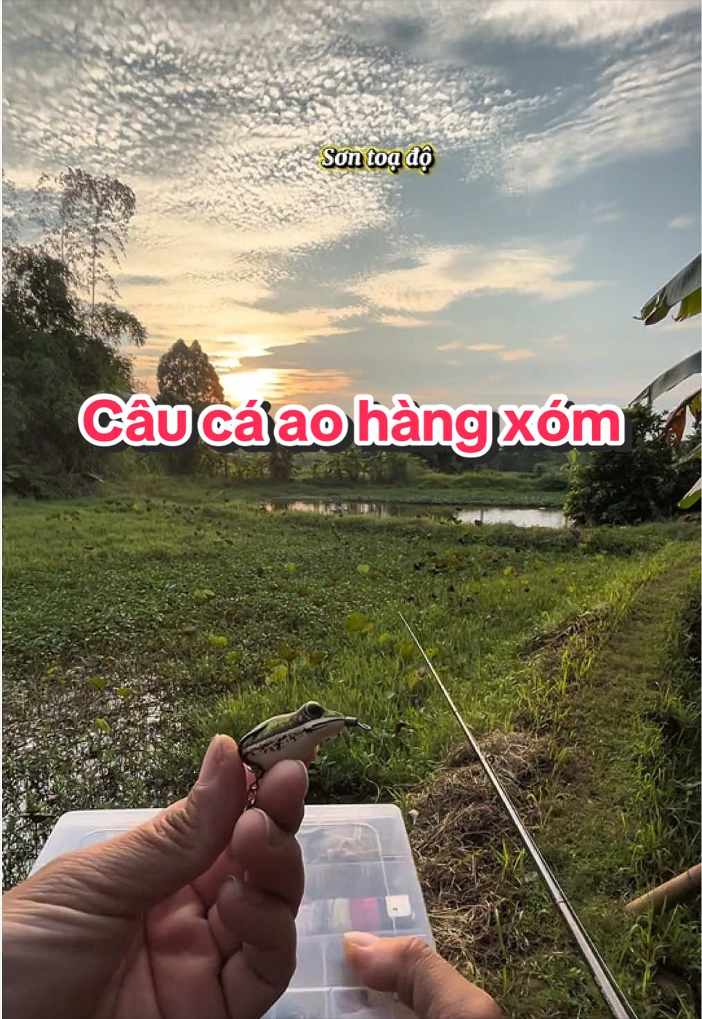@Sơn toạ độ