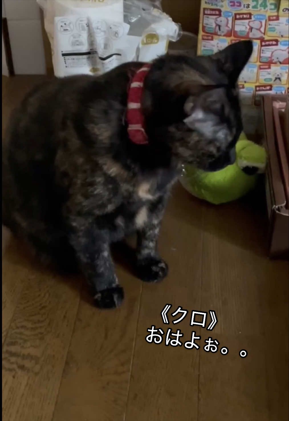 @聴々物語PROJECT