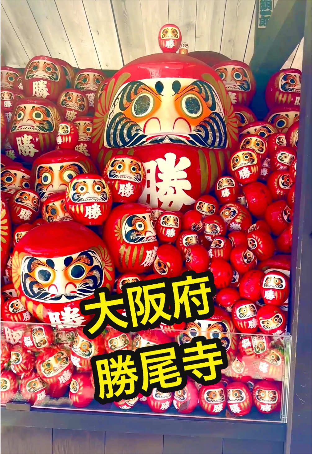 @音丸ぽん🇯🇵