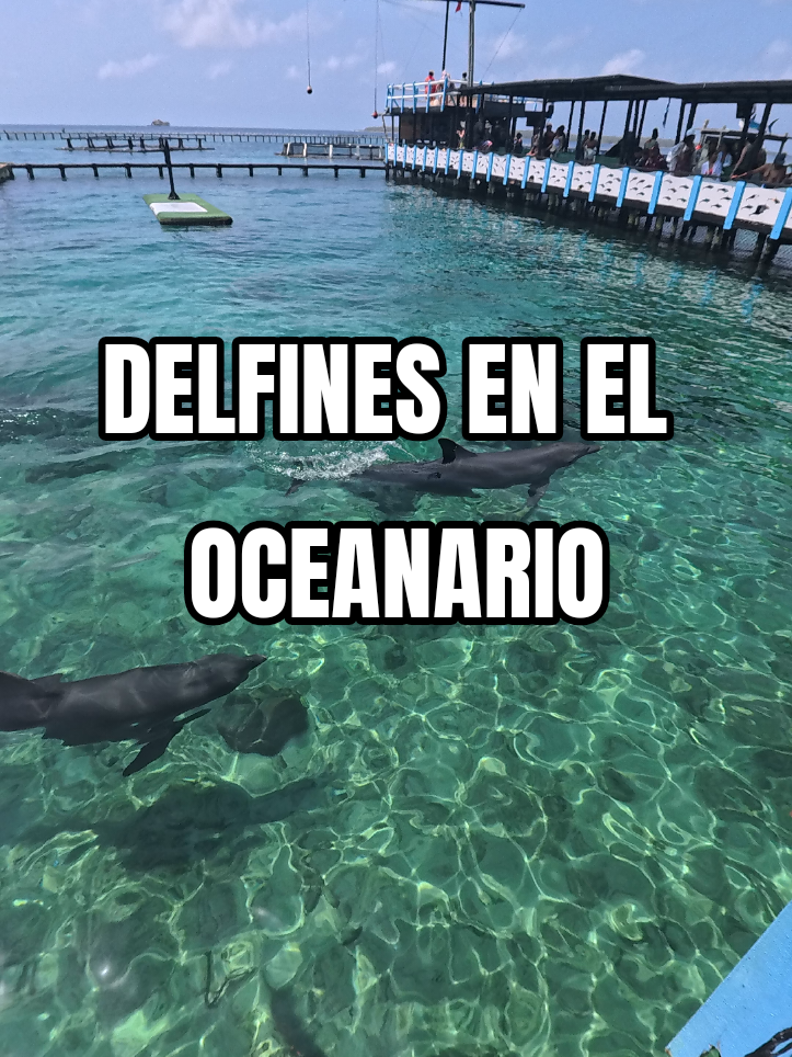 @Julio Chavarr&iacute;a