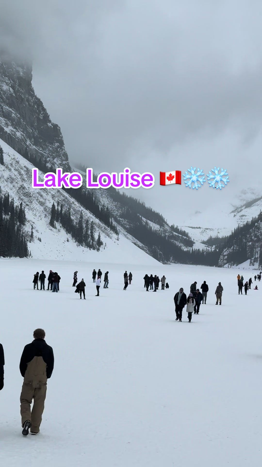 @Canada View🇨🇦